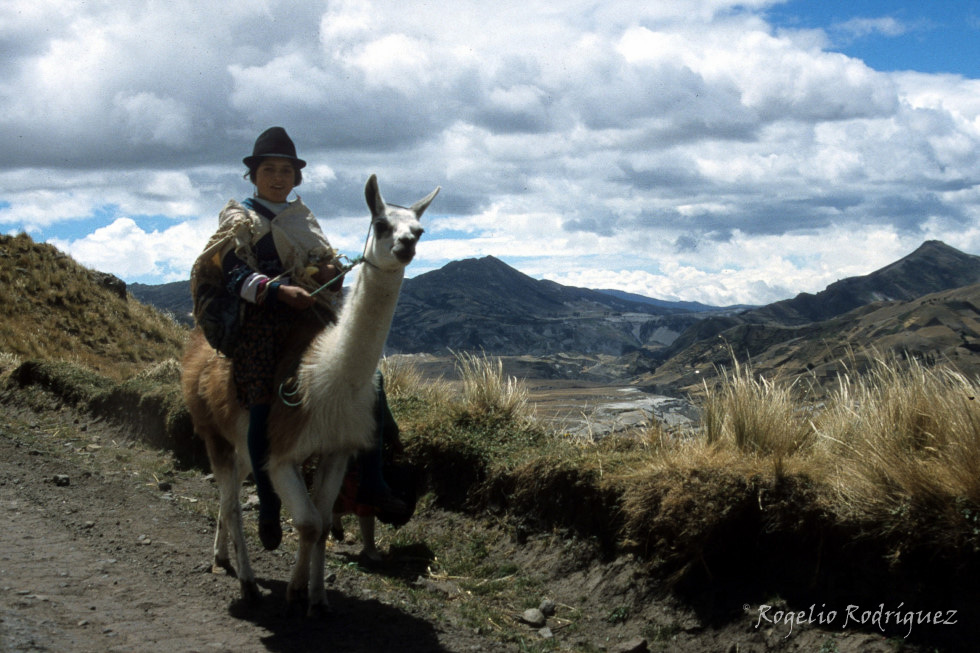 Imagen 8 de la galería de Ecuador